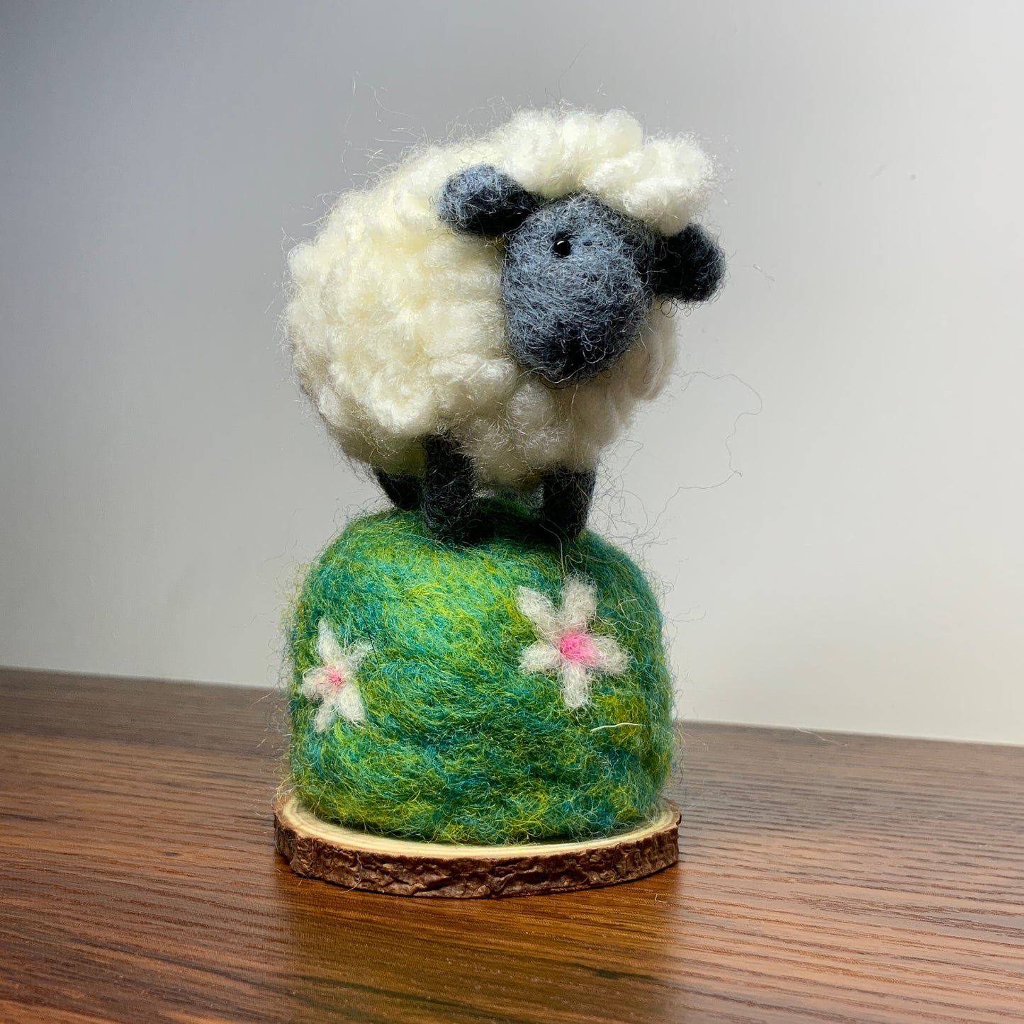 FRIDAY 24TH JAN - SHEEP ON A HILL - 10 to 1