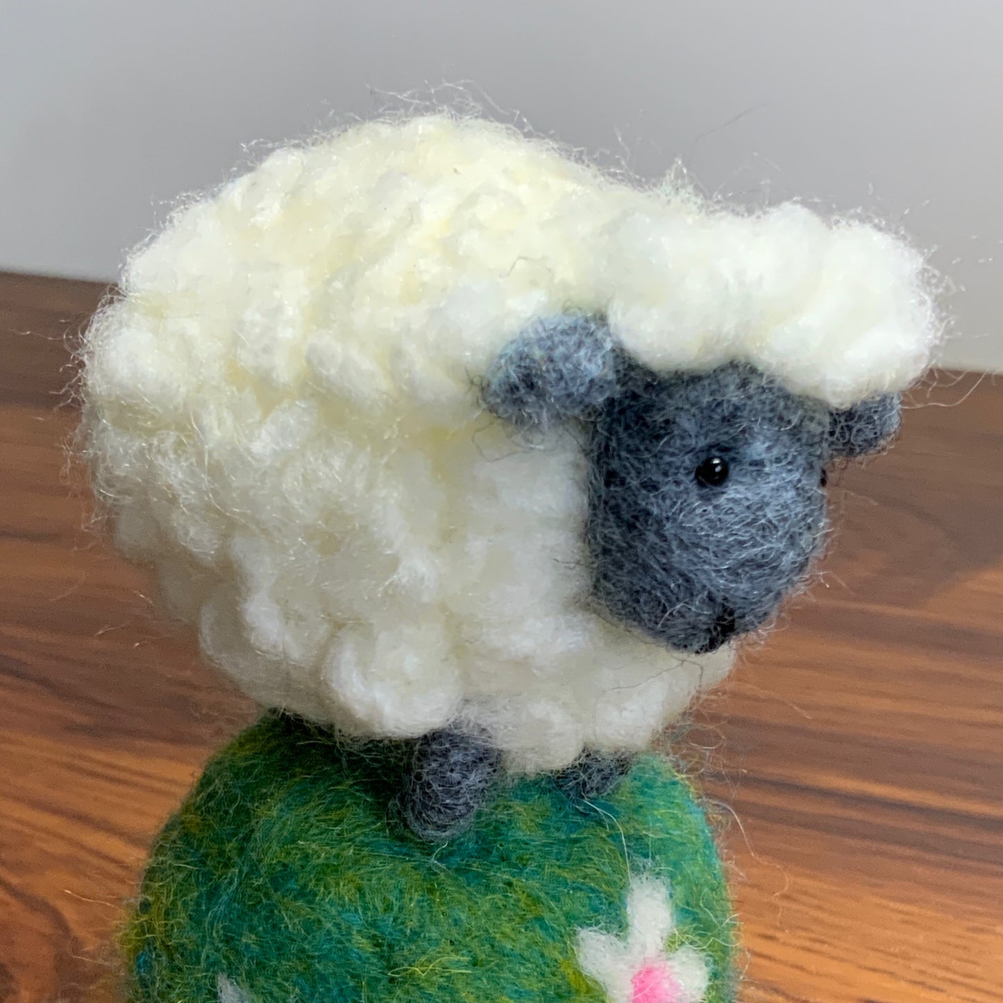 FRIDAY 24TH JAN - SHEEP ON A HILL - 10 to 1